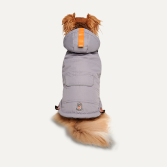 Combinaison de Neige pour Chien Grise avec Capuche M - Confort et Chaleur