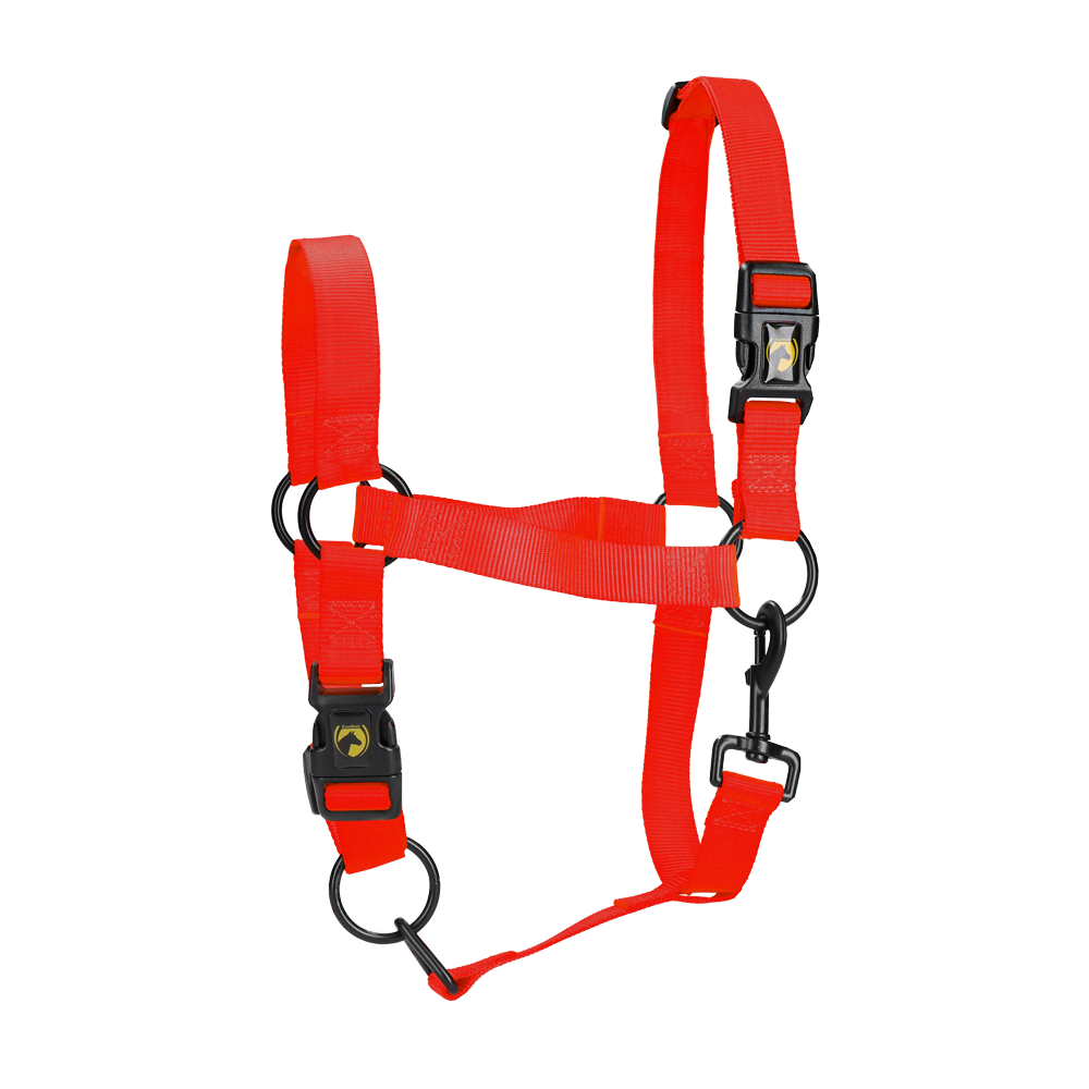 Licou de qualité Excellent Essentiel Rouge pour cheval - 23x26x5 cm