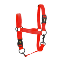 Licou de qualité Excellent Essentiel Rouge pour cheval - 23x26x5 cm