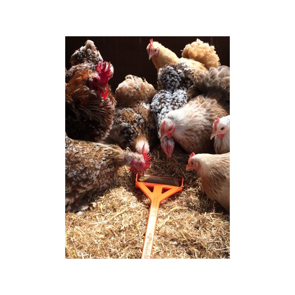 Hentastic Fun Feeder - Distributeur de Fripures pour Oiseaux