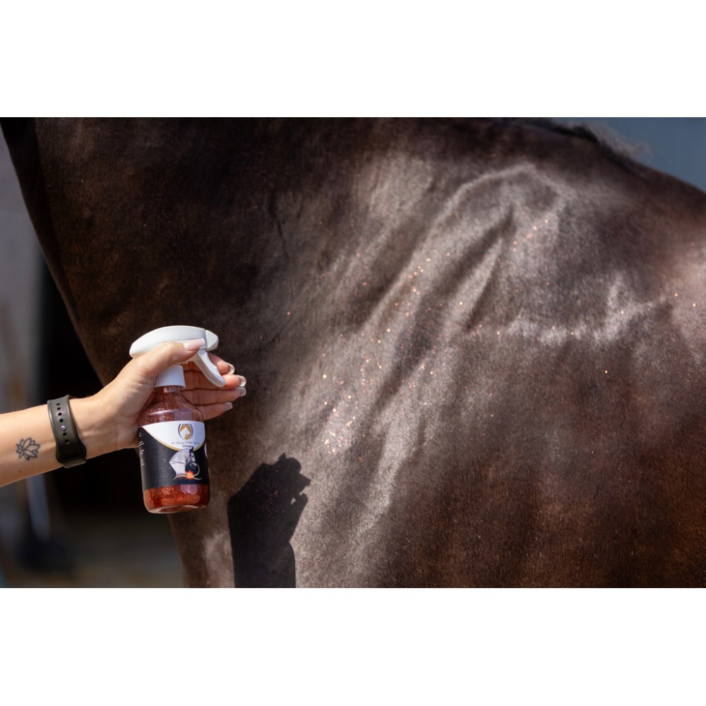 Excellent Spray Brillant pour Chevaux à Paillettes Orange 250 ml - Éclat et brillance assurés