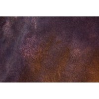 Excellent Spray Brillant pour Chevaux à Paillettes Orange 250 ml - Éclat et brillance assurés