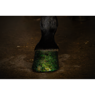 Vernis sabots paillettes Excellent Horse Hi Gloss 150 ml