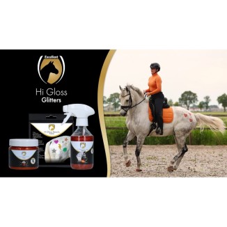 Pochoirs pour Chevaux à Haute Brillance - Set de 5 pièces