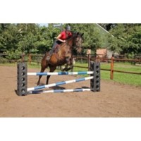 Excellent Cube pour Cheval | Marque, Pays, Contenance & Dimensions - 41.5x30x30 cm