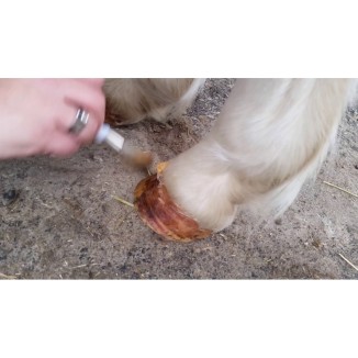 Gel d'Huile pour Sabots de Cheval 400 g - Soin de qualité supérieure