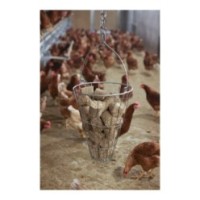 Panier d'alimentation en foin | Marque: , Contenance: , Dimensions: 54.7x36.9x37.4 cm