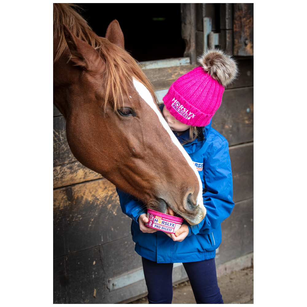 Horslyx Mini Digest - Complément pour Chevaux de 650g