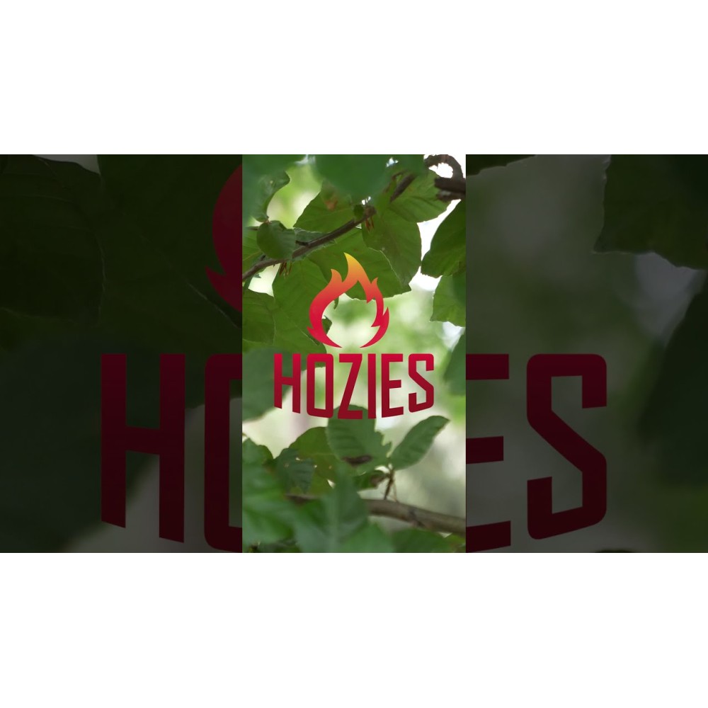 Hozies Sammy Rayures M - Collier pour chien élégant et ajustable