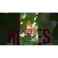 Hozies Sammy Rayures M - Collier pour chien élégant et ajustable