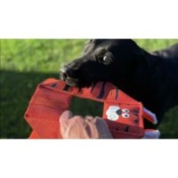 Trompette octogonale Trixy Billy Bengal de Hozies - Jouet pour chien vibrant