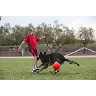 Ballon de football Jolly Orange S (15 cm) - Pour des moments de jeu animés avec votre chien
