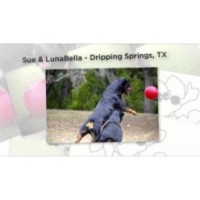Ballon de football Jolly rose S (15 cm) - Parfait pour le divertissement de votre chien 