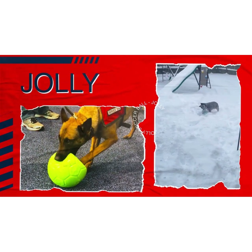Ballon de football Jolly rose S (15 cm) - Parfait pour le divertissement de votre chien 
