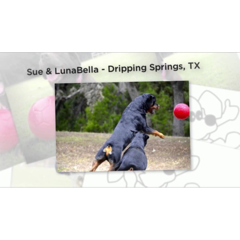 Ballon de football Jolly Orange/Blanc L (20 cm) pour chiens actifs