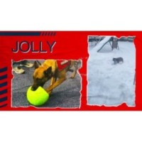 Ballon de football Jolly Orange/Blanc L (20 cm) pour chiens actifs