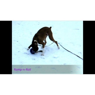 Jouet Jolly Romp-n-Roll Rouge L (20 cm) pour Chien - Amusement assuré