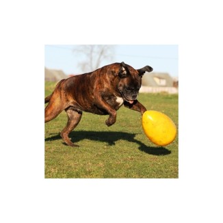 Jouet Jolly Egg Jaune S (20 cm) pour chiens actifs