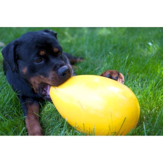 Jouet pour chien Jolly Egg Rouge S (20 cm) - Amusant et robuste