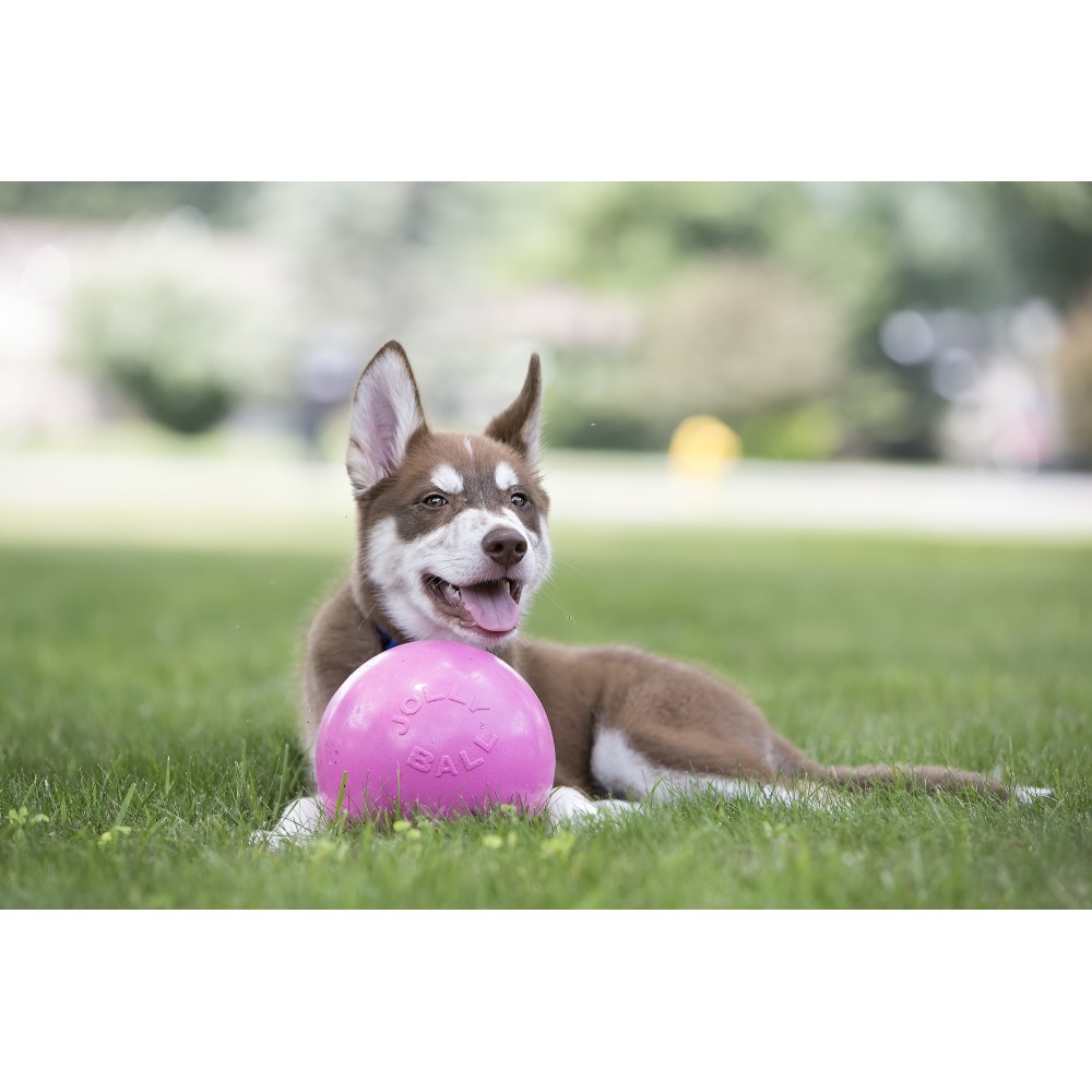 Jouet pour chien Jolly Bounce-n Play Bubblegum S (11 cm) - Amusement garanti