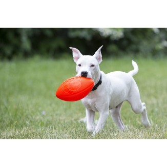Friandise Jolly Football Vanille pour chien - 12.7x12.7x27.9 cm