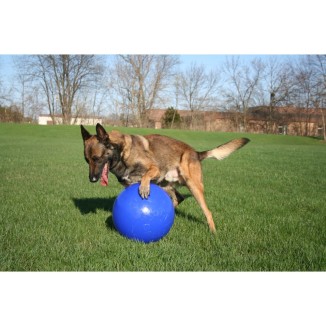 Jouet interactif Jolly Pousse-et-Joue Rouge L pour chiens (25 cm)