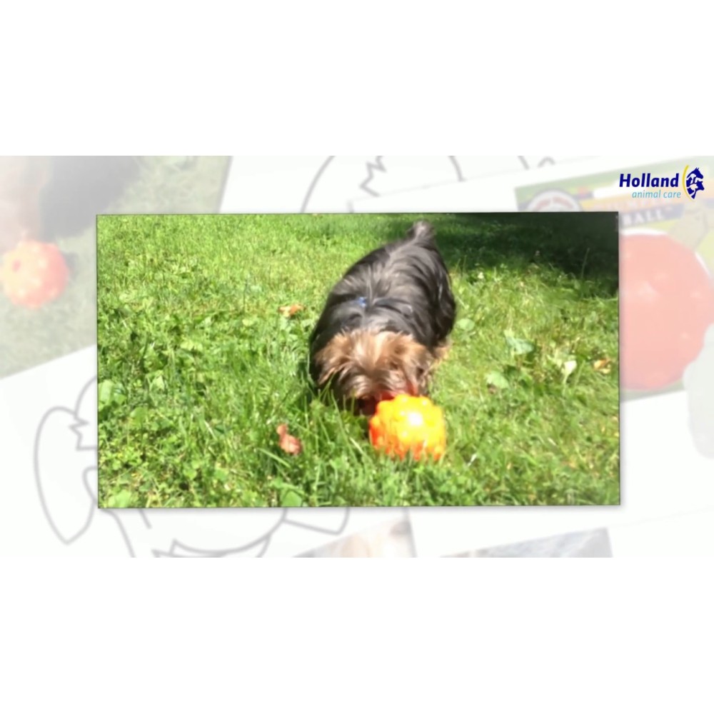 Jolly Jumper Orange M (10 cm) - Jouet pour Chien Amusant