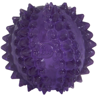 JW Chiot - Balle de cactus Bristl-ee pour chiens - Jouet ludique et original