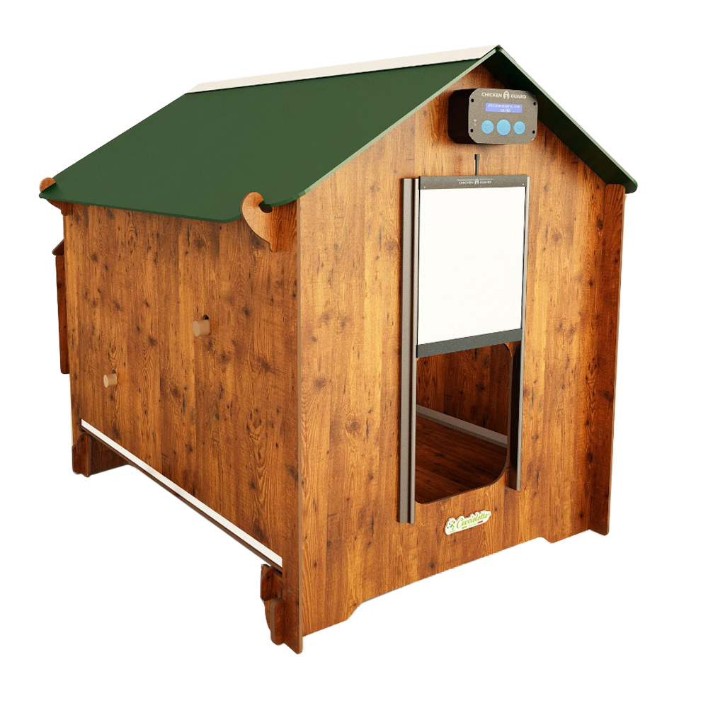 Poulailler Polly Classic L par Cucciolotta - Spacieux et Robuste