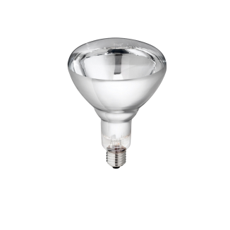 Ampoule en verre dur 250 W - Blanc | Contenance 17.5x12x12 cm