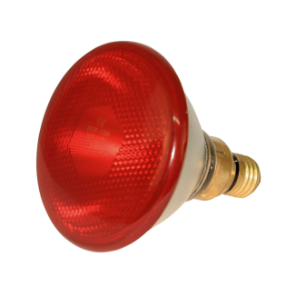 Ampoule Économie d'Énergie 100W - Blanc | Économisez avec Style