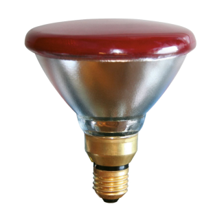 Ampoule Économie d'Énergie 100W - Blanc | Économisez avec Style