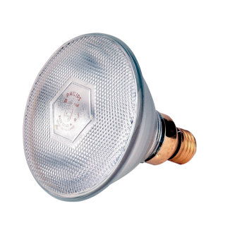 Ampoule Économie d'Énergie 175 W - Blanc | Éclairage Efficace et Écologique