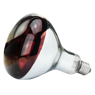 Ampoule en verre dur 250 W - Rouge | Contenance 12x12x18 cm