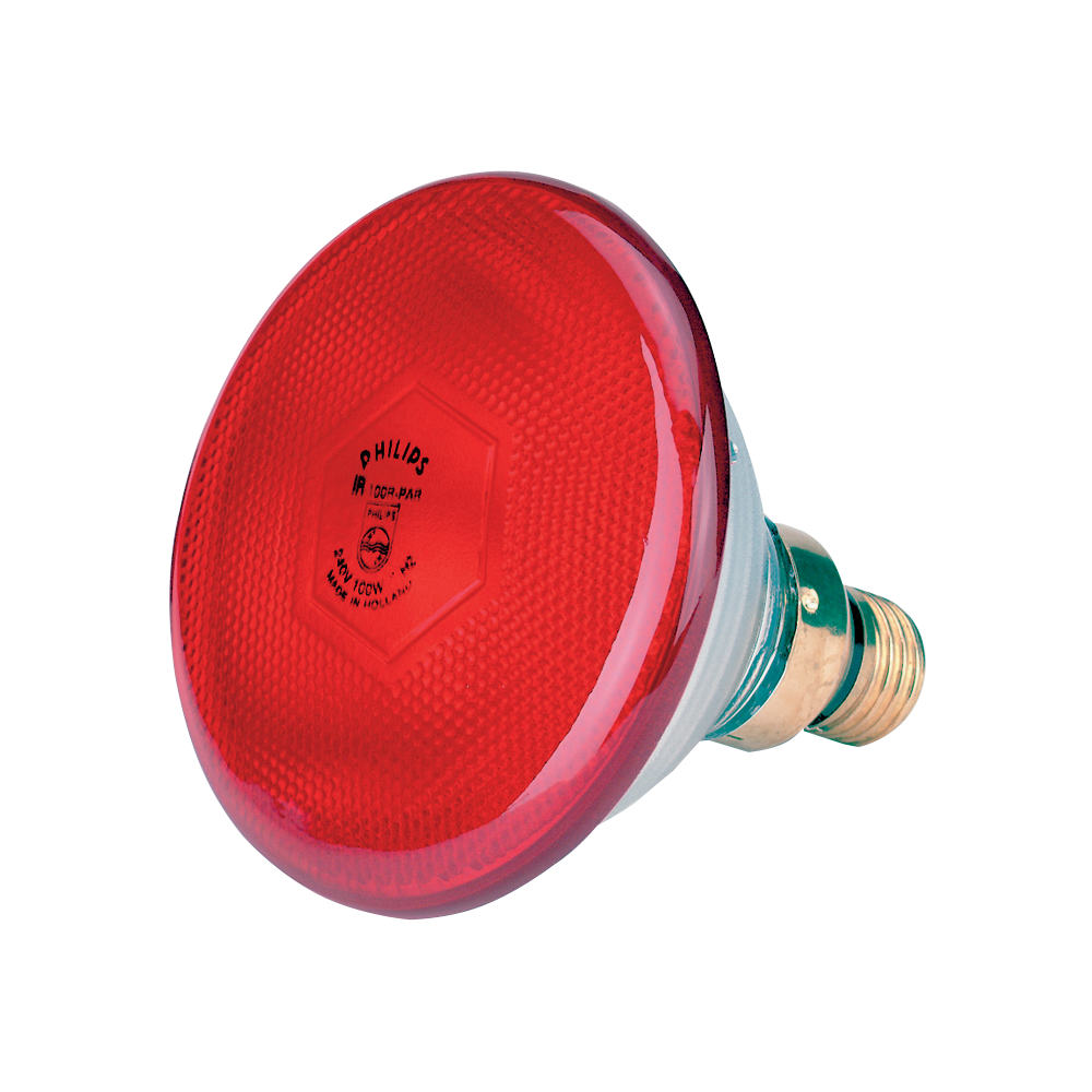 Ampoule Économie d'Énergie 100 W - Lumière Rouge Éclatante