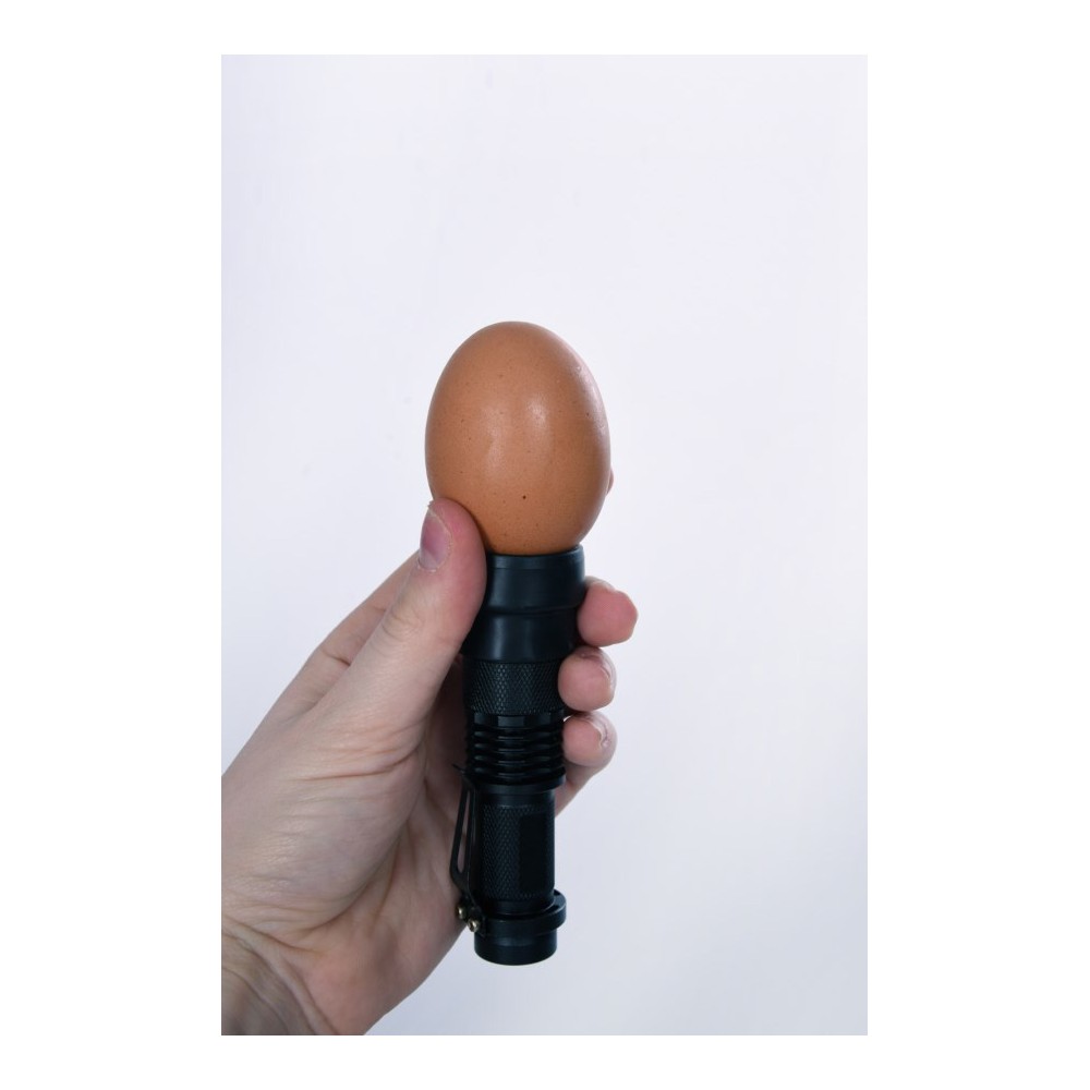 Lampe d'inspection LED - Compacte et puissante pour les passionnés d'oiseaux