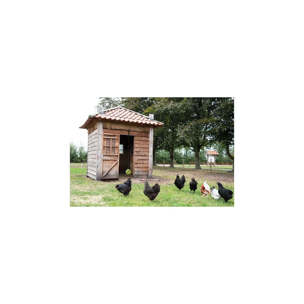 Bloc de picage de Lax pour poules 3,5 kg - Complexe nutritif essentiel