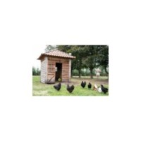 Bloc de picage de Lax pour poules 3,5 kg - Complexe nutritif essentiel