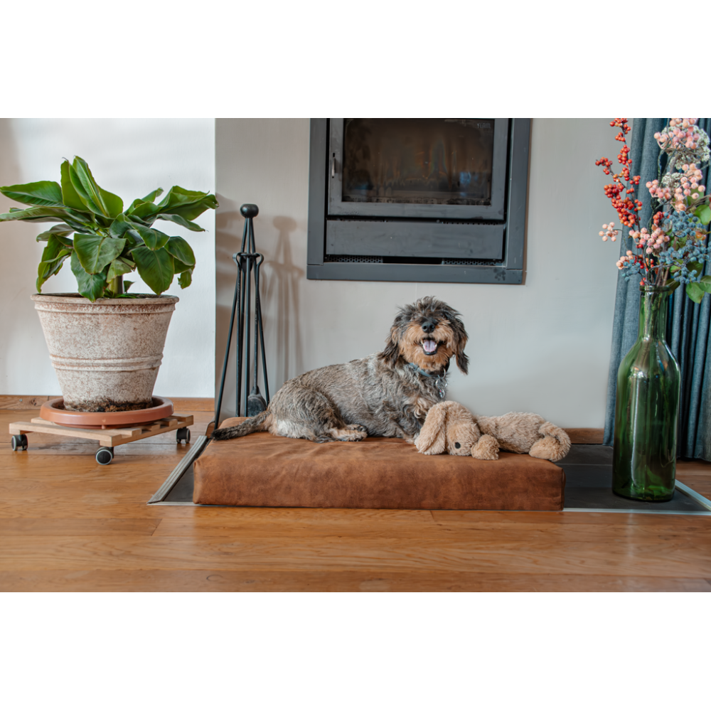 Matelas orthopédique Let's Sleep Mellow Bed M Taupe - Confort et soutien pour chiens