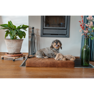 Matelas Orthopédique Let's Sleep Mellow XL Cognac - Confort pour chien XL de qualité supérieure