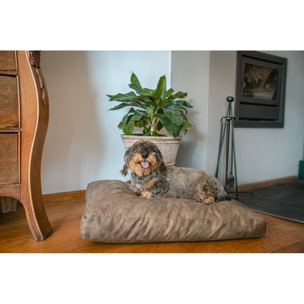 Lit pour chien en peluche Let's Sleep M Taupe - Confortable et élégant