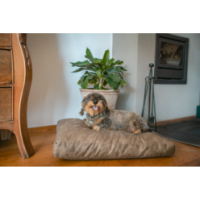 Lit pour chien en peluche Let's Sleep M Taupe - Confortable et élégant