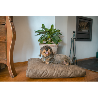 Lit pour chien en peluche Let's Sleep L Cognac - Confort et style pour votre fidèle compagnon