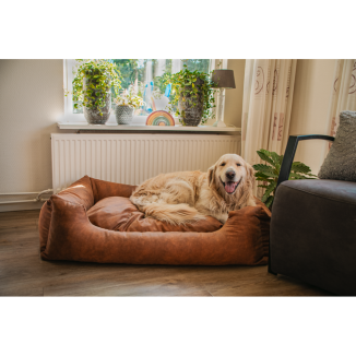 Panier pour chien Let's Sleep Sweet Dreams avec coussin L Anthracite - Confort optimal pour des siestes douillettes