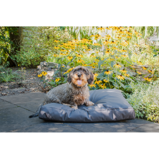 Lit pour chien d'extérieur Let's Sleep Cushy Cloud M Anthracite - Confort et style pour votre compagnon
