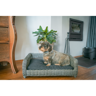 Panier pour chien en osier Let's Sleep Cozy Basket M Anthracite - Confort et style!