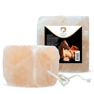 Excellent Bloc de sel pour chevaux Himalaya 2-3 kg (avec corde) - Haute qualité pour une santé optimale
