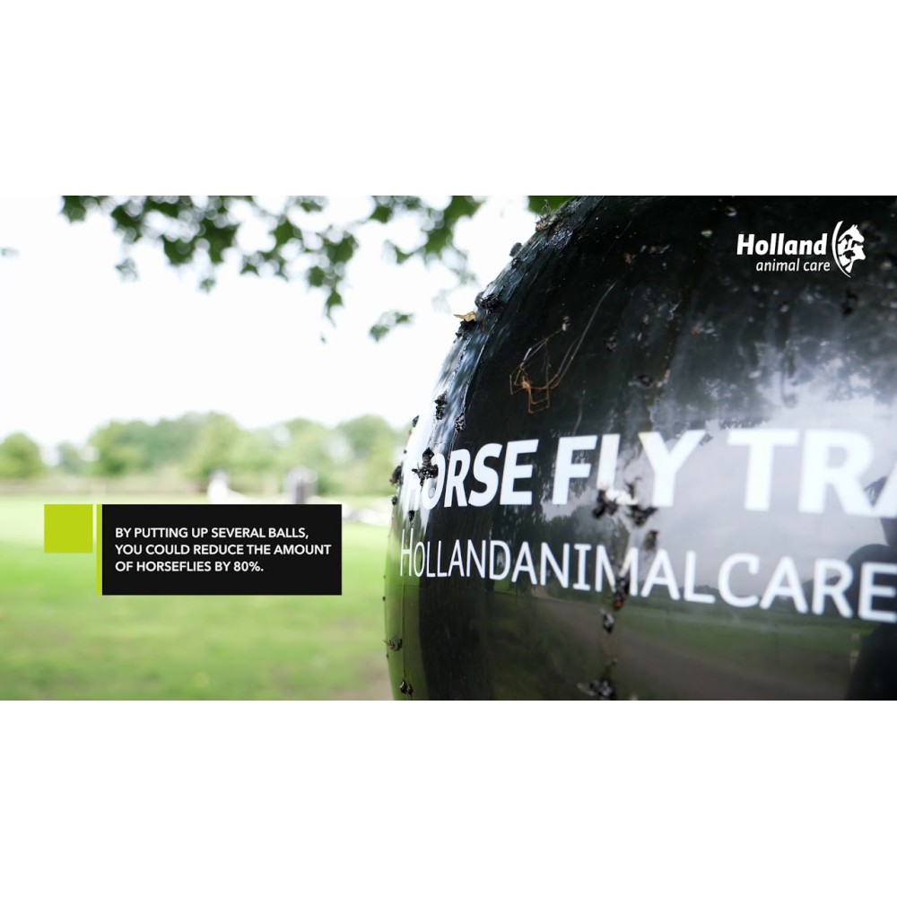 Piège complet contre les taons Loer pour cheval - Efficace et pratique