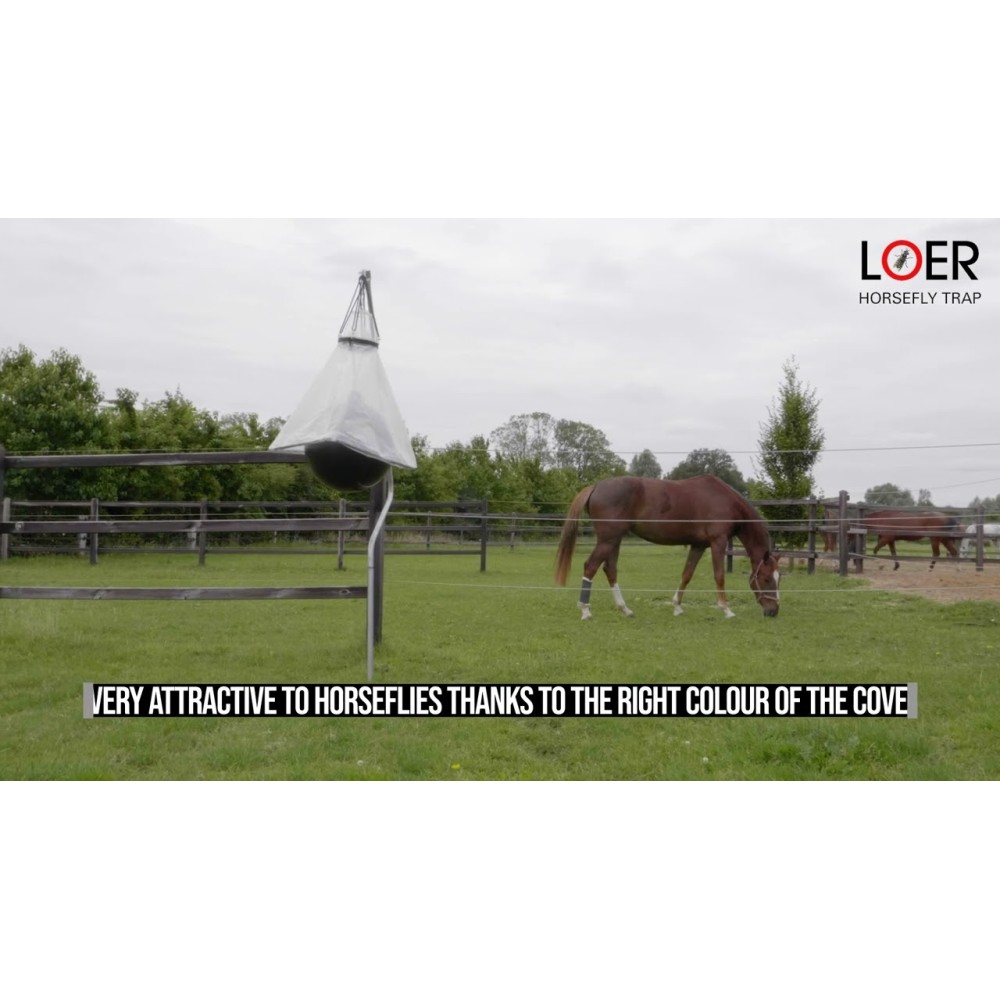 Piège complet contre les taons Loer pour cheval - Efficace et pratique
