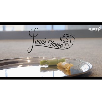Mélange d'Entraînement Anneaux de Boeuf Luna's Choice 500g